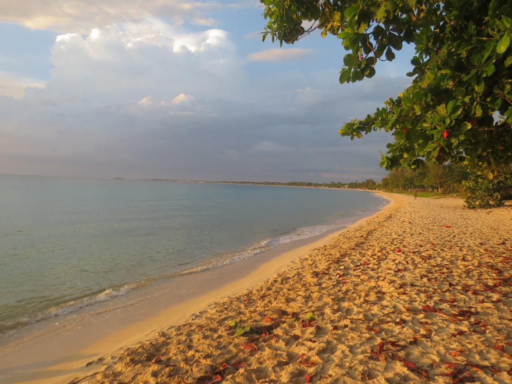 A Piece Of Paradise Montego Bay Exterior photo